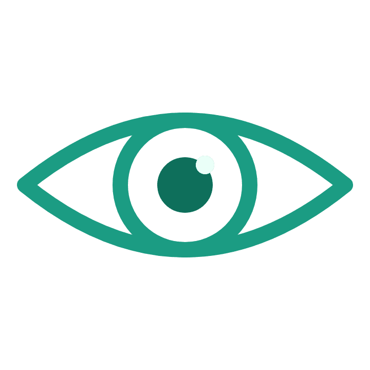 Vision
